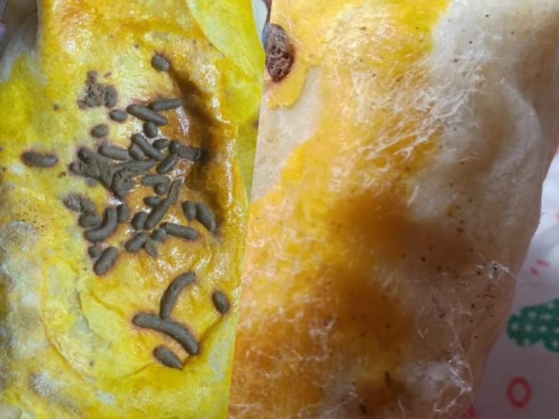 Diduga Berjamur, Roti Bolen Program Makan Bergizi Gratis di Tulungagung Picu Kekhawatiran Warga